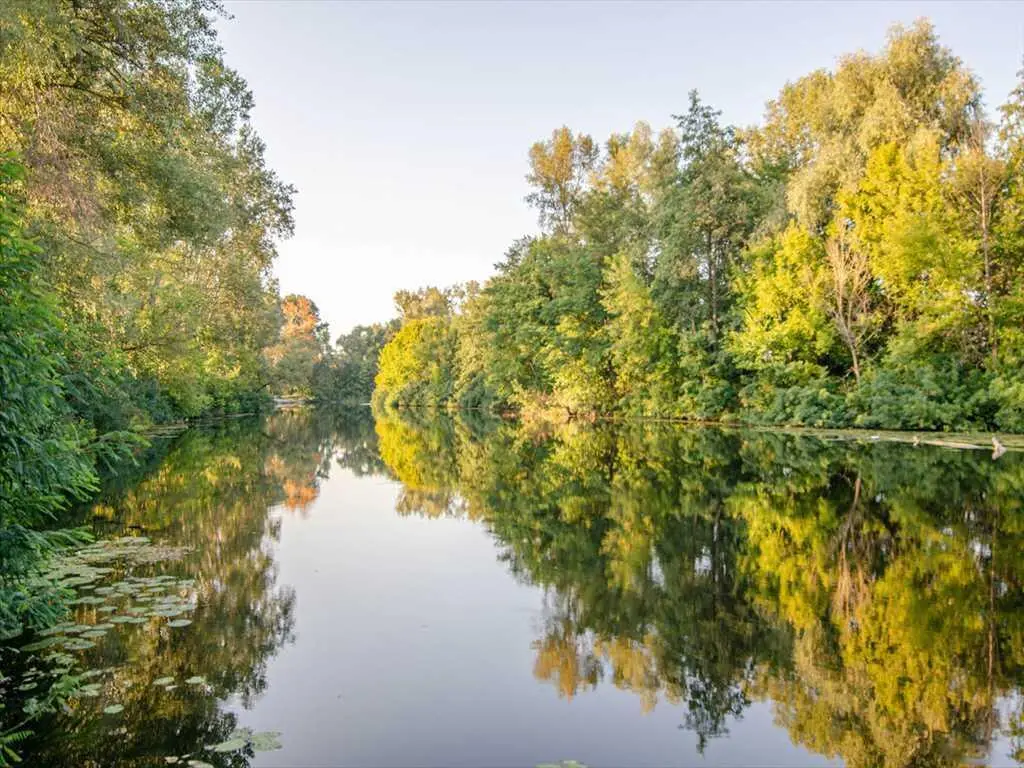 Ділянка — Петрівка