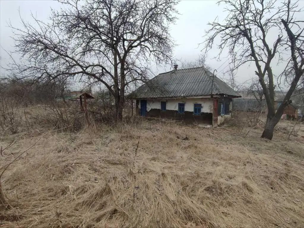 Ділянка — Рибці