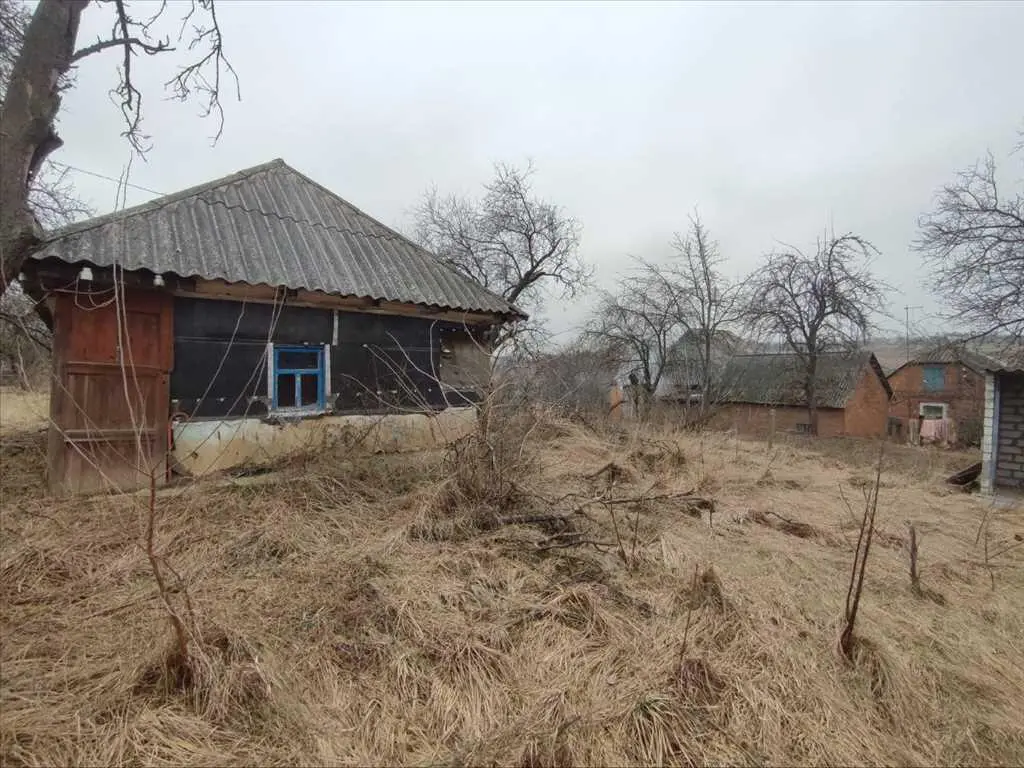 Ділянка — Рибці