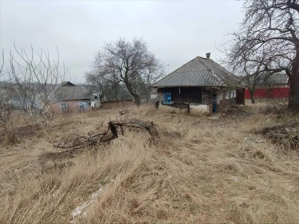 Ділянка — Рибці