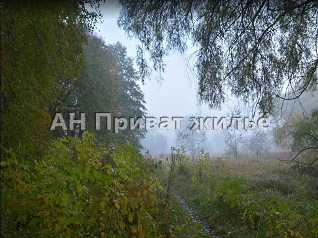 Ділянка — Лісок