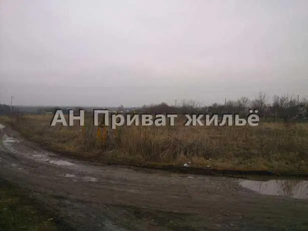 Ділянка — Жуки