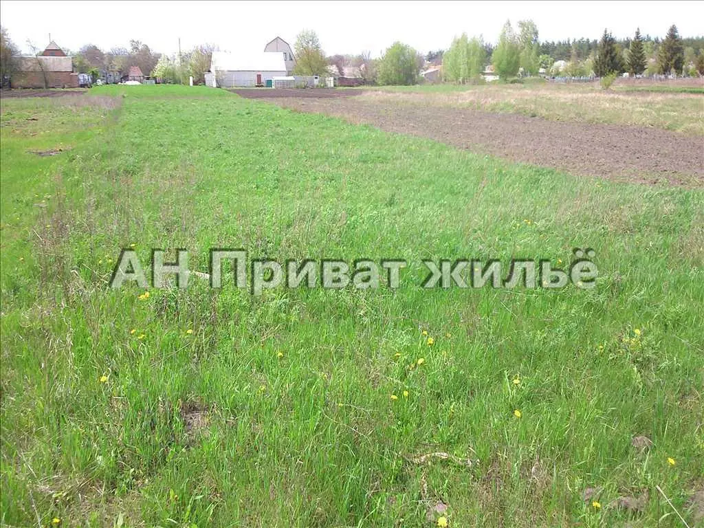 Ділянка — Новоселівка