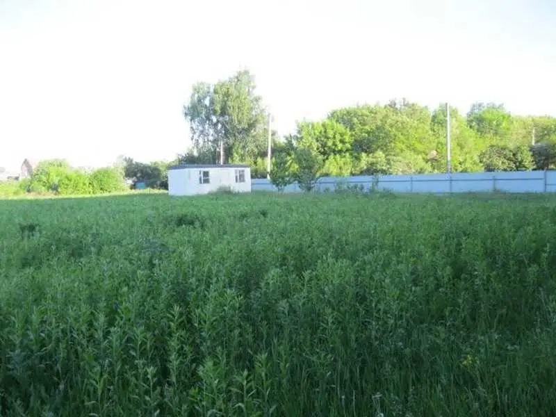 Ділянка — Тернівщина