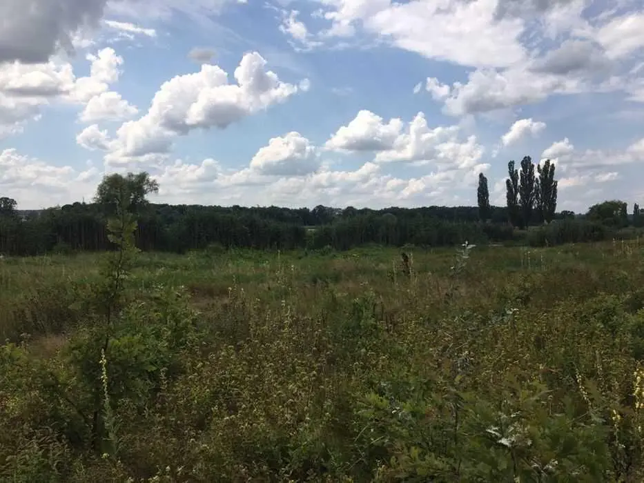 Ділянка — Патлаївка