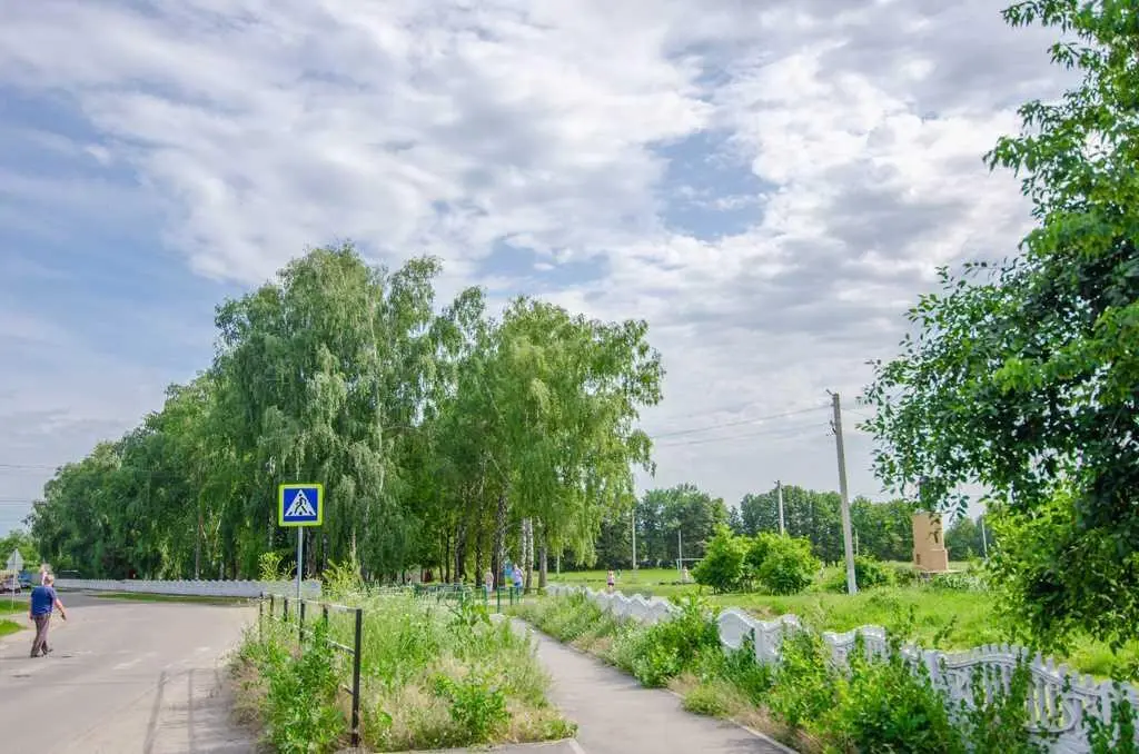 Ділянка — Супрунівка