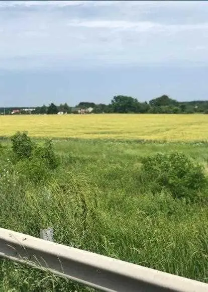 Ділянка — Супрунівка