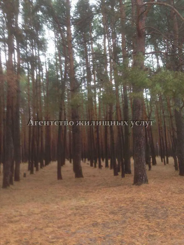 Ділянка — Вакуленці