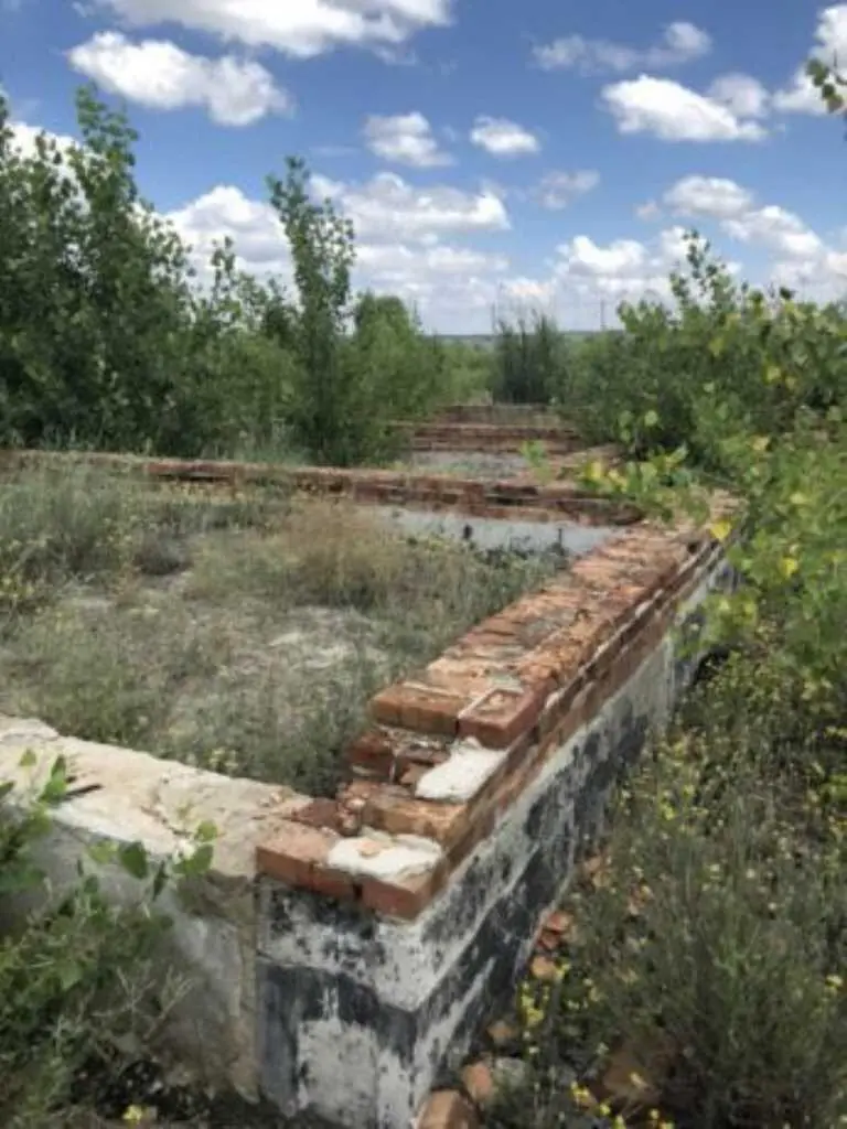 Ділянка — Лісок