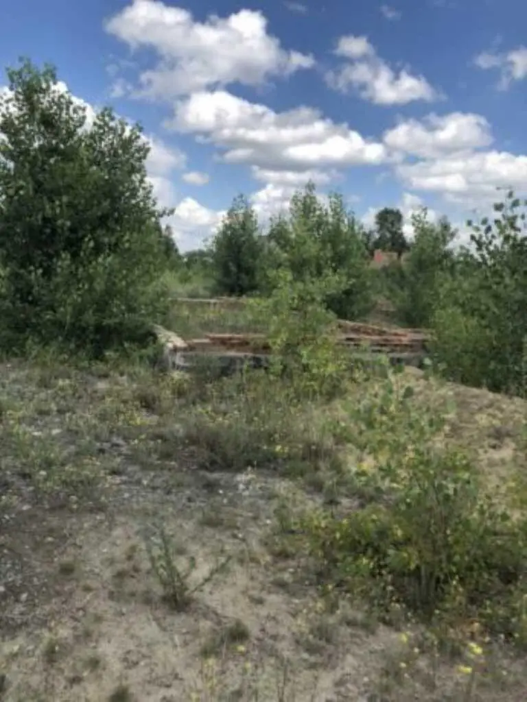 Ділянка — Лісок