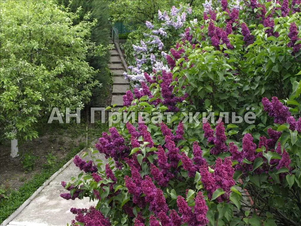 Будинок — Центр