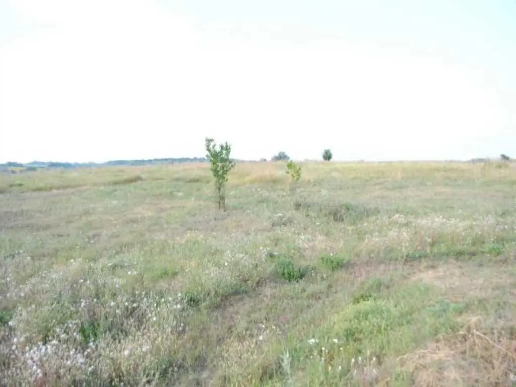 Будинок — Андріївка