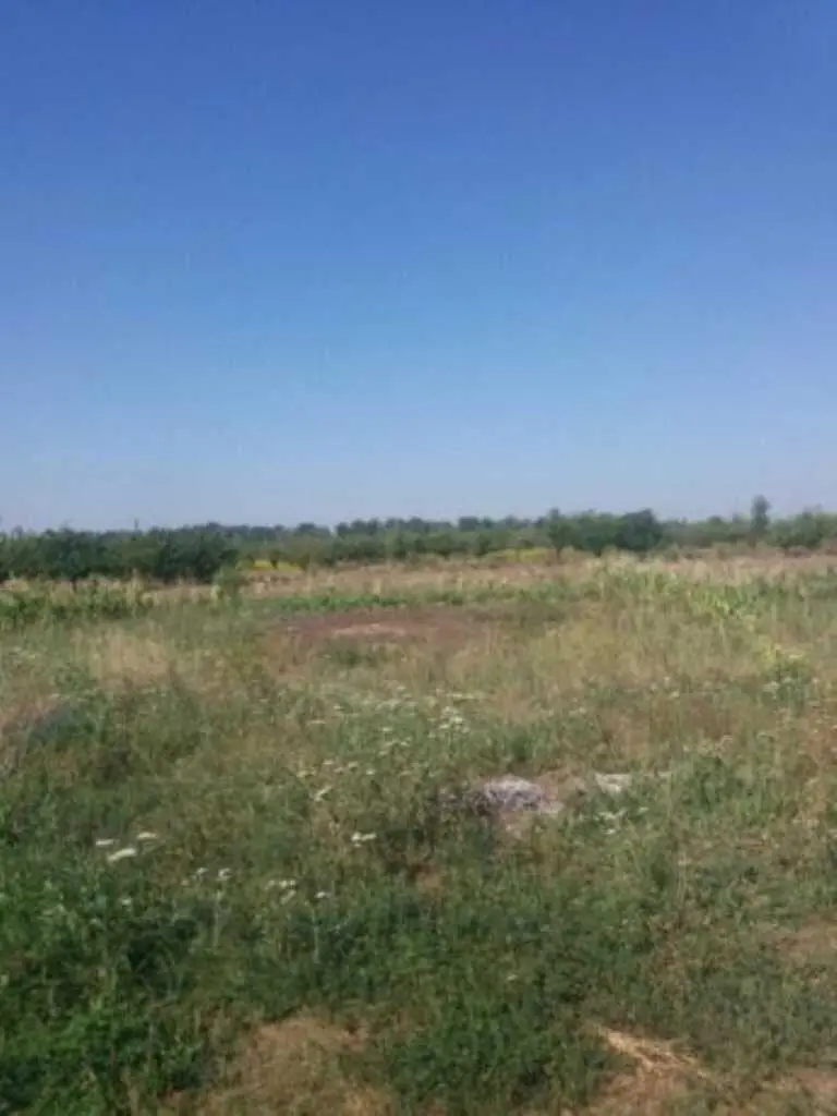Ділянка — Розсошенці
