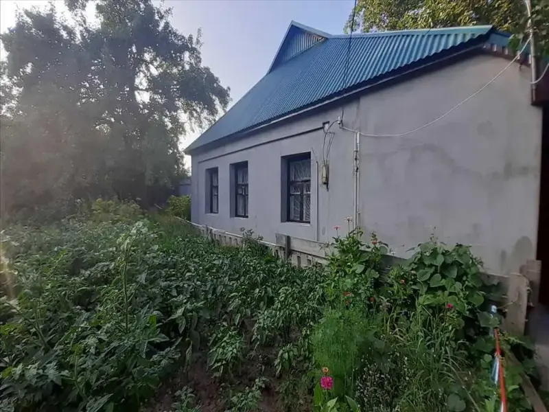 Будинок