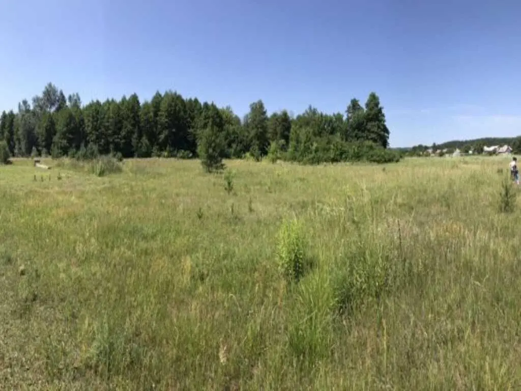 Ділянка — Вакуленці