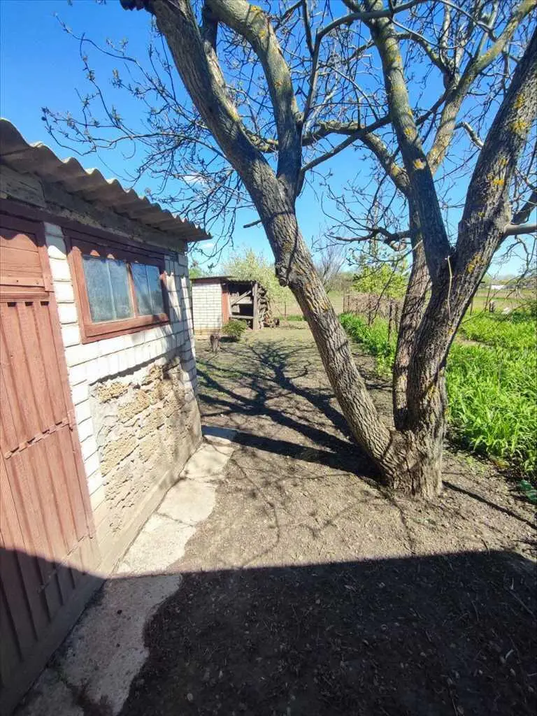 Будинок — Жуки