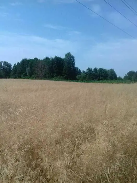 Ділянка — Сем`янівка