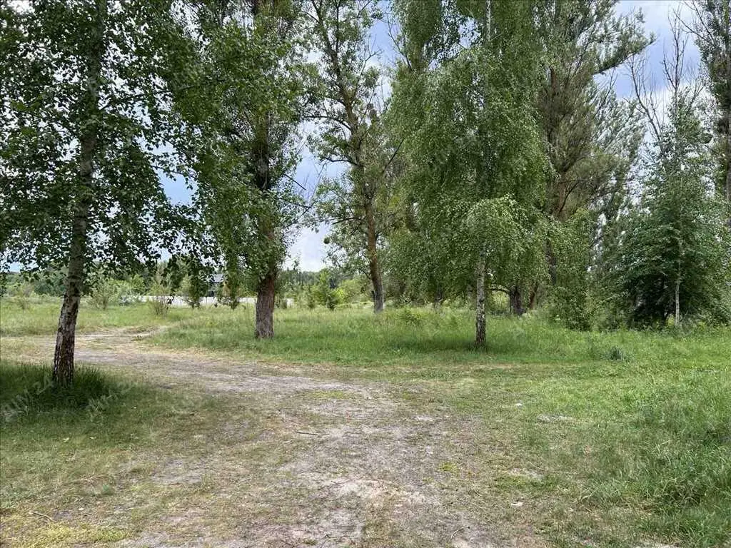 Ділянка — Вороніна / Затишне