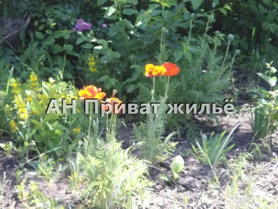Ділянка — Нижні Млини