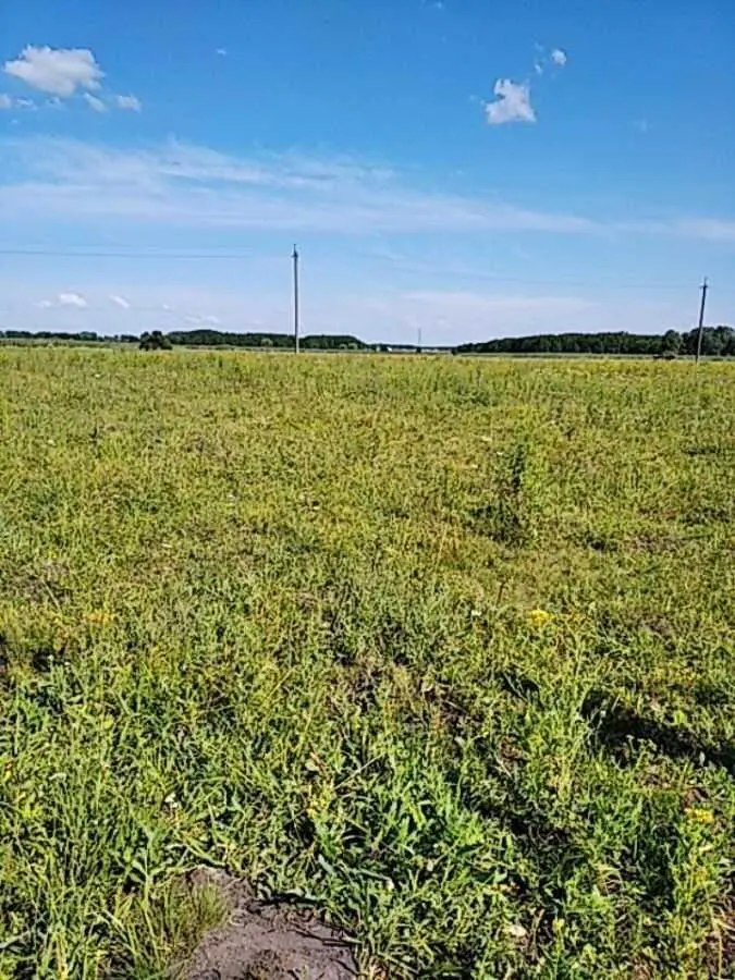 Ділянка — Ковалівка