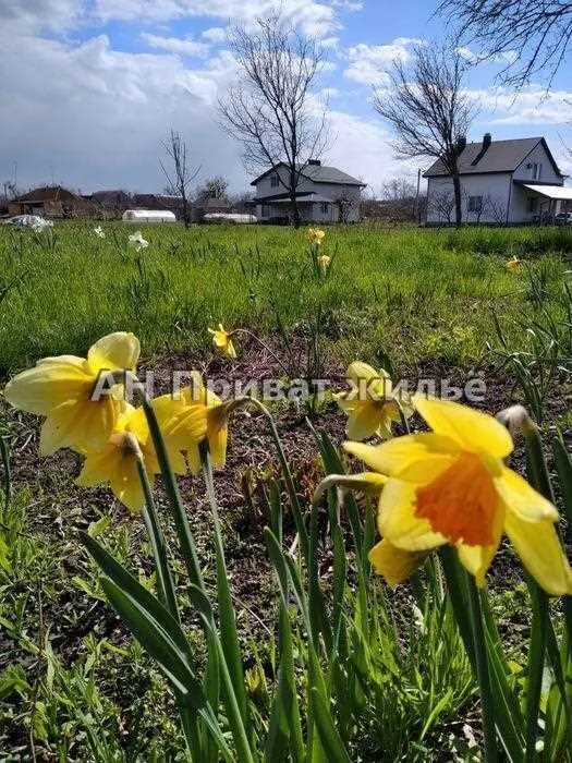 Ділянка — Вакуленці