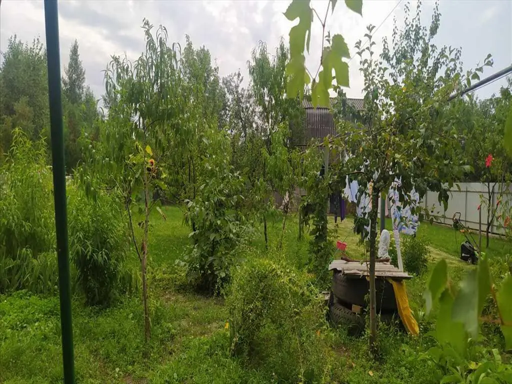 Будинок
