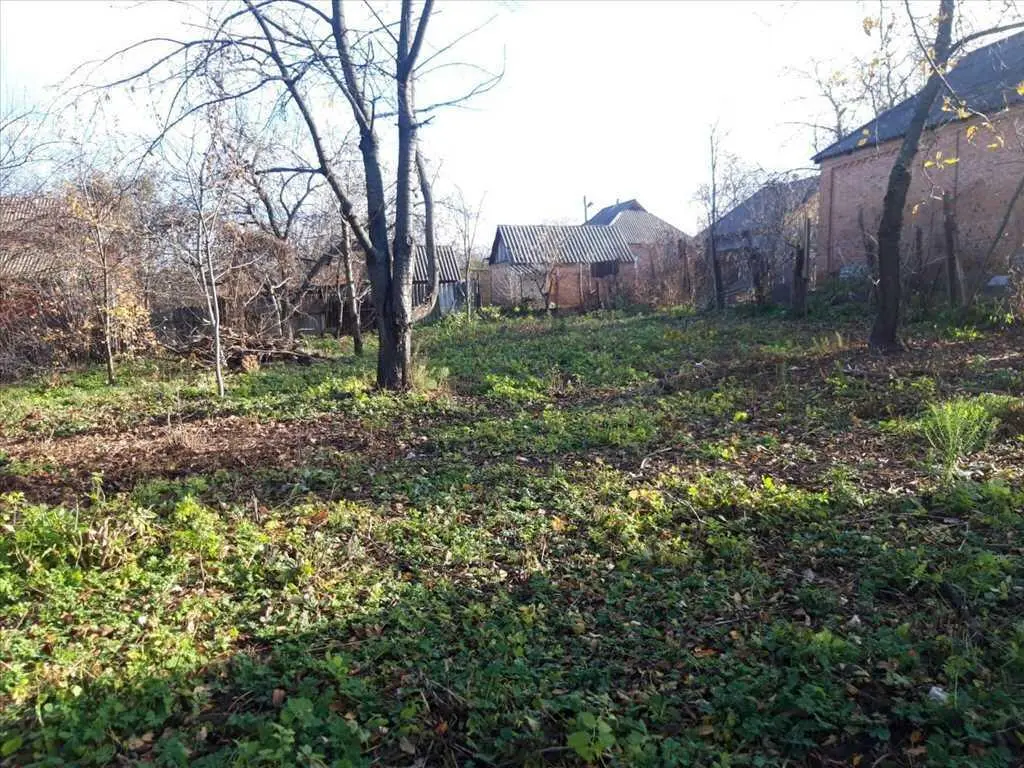 Будинок — Рибці