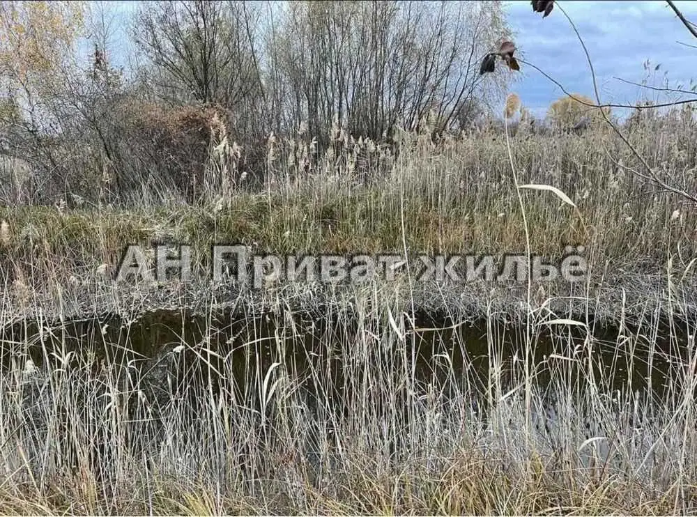 Ділянка — Вербове