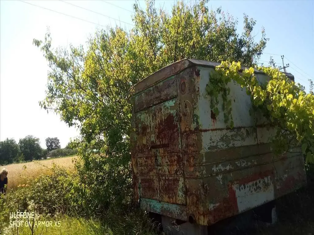 Ділянка — Мачухи