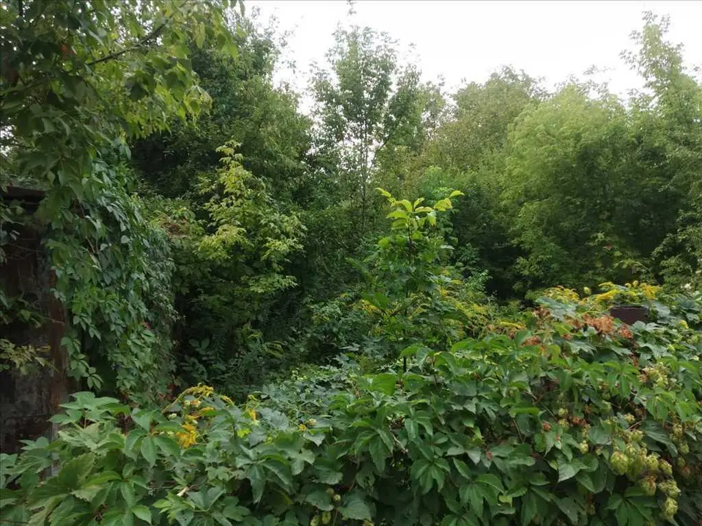 Ділянка — Вороніна / Затишне