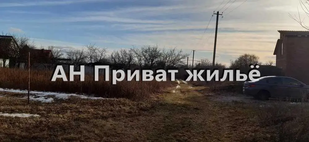 Ділянка — Жуки