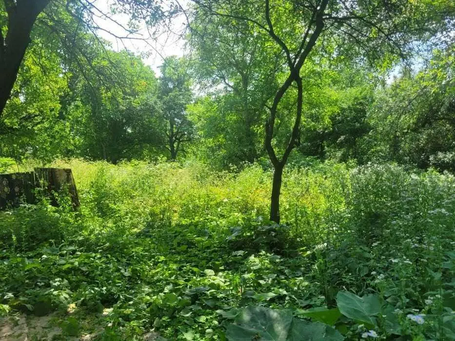 Ділянка — Буланове