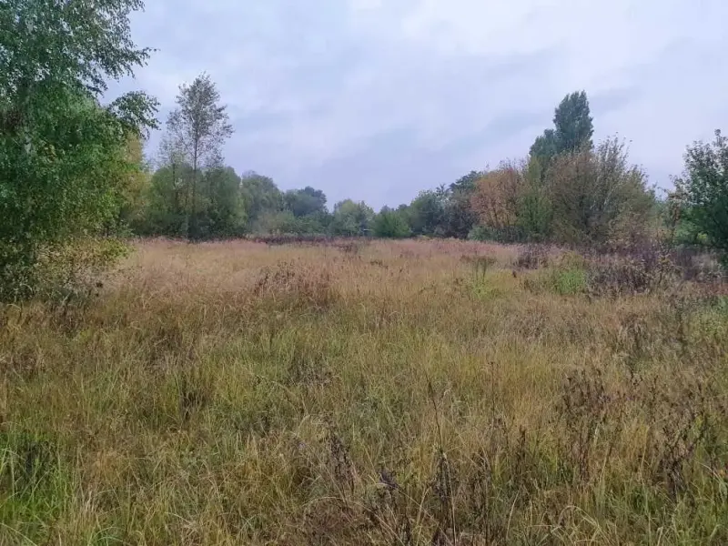 Ділянка