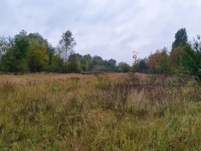 Ділянка