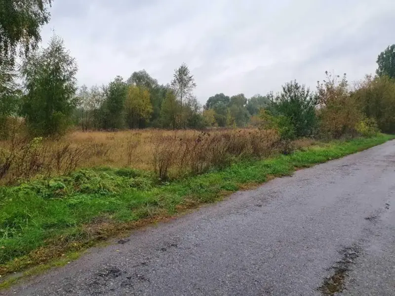 &nbsp;Поруч газопровід, центральна вода й електропідстанція! &nbsp;Коли вибираєте ділянку для будівництва, першочергово звертають на ці фактори!  &nbsp;У продажу ділянка 20 км від Полтави в с.Вербове - екологічно чисте місце є ліс і річка Коломак! * Площа ділянки 25 соток прямокутної форми. * Асфальтована дорога прямо до вашого майбутнього будинку* Постійне траспортне сполучення з містом курсують автобуси і електричка. * Газопровід і центральна вода через дорогу, електропідстанція по межі ділянки! До міста &nbsp;хороша асфальтована дорога 20 км! Зробіть інвестицію в майбутнє, придбайте ділянку сьогодні!