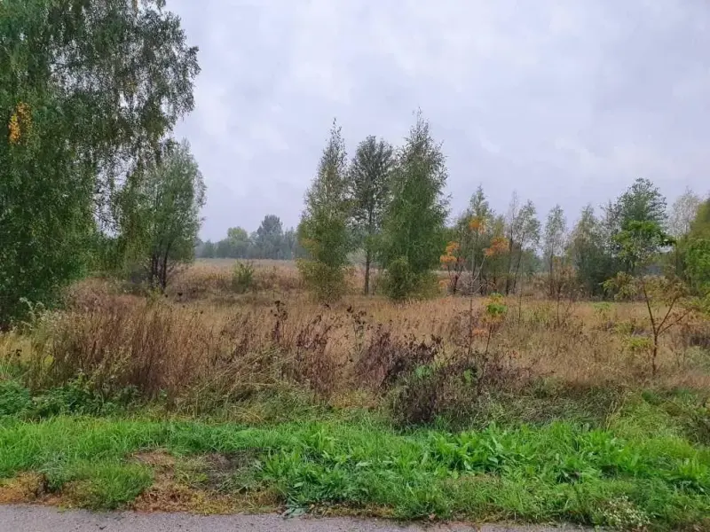 &nbsp;Поруч газопровід, центральна вода й електропідстанція! &nbsp;Коли вибираєте ділянку для будівництва, першочергово звертають на ці фактори!  &nbsp;У продажу ділянка 20 км від Полтави в с.Вербове - екологічно чисте місце є ліс і річка Коломак! * Площа ділянки 25 соток прямокутної форми. * Асфальтована дорога прямо до вашого майбутнього будинку* Постійне траспортне сполучення з містом курсують автобуси і електричка. * Газопровід і центральна вода через дорогу, електропідстанція по межі ділянки! До міста &nbsp;хороша асфальтована дорога 20 км! Зробіть інвестицію в майбутнє, придбайте ділянку сьогодні!