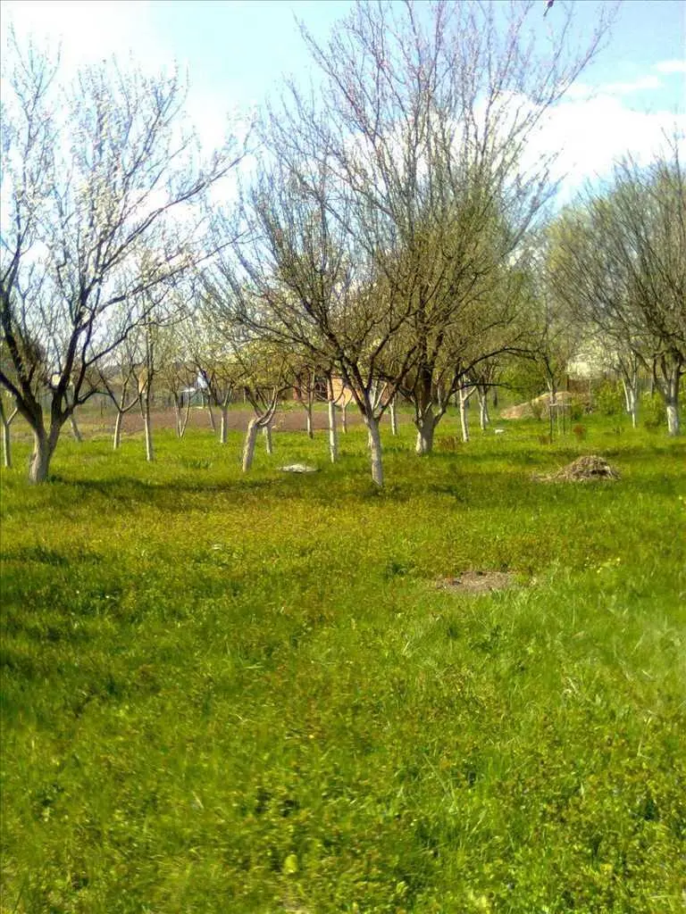 Ділянка — Терешки