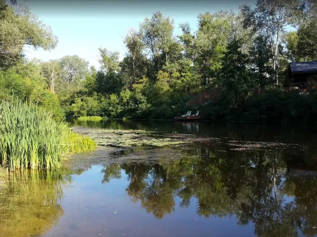 Ділянка — Петрівка