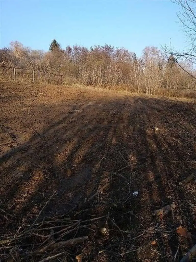Ділянка — Стадіон Ворскла