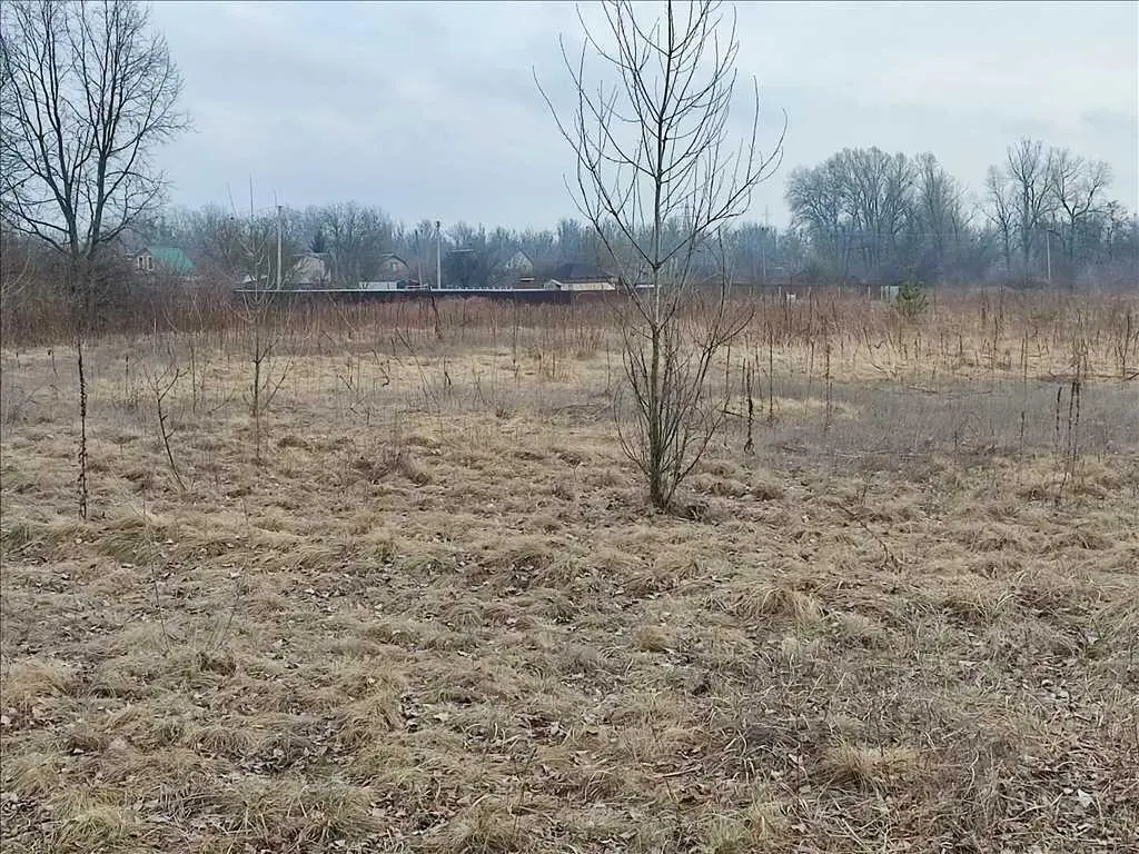 Ділянка — Вороніна / Затишне