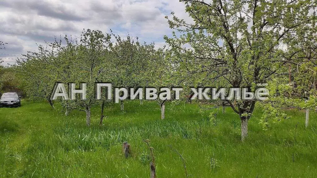 Ділянка — Мачухи