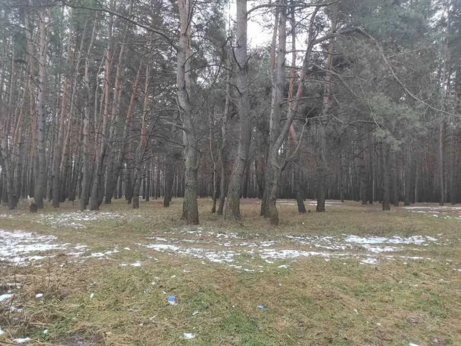 Ділянка — Верхоли