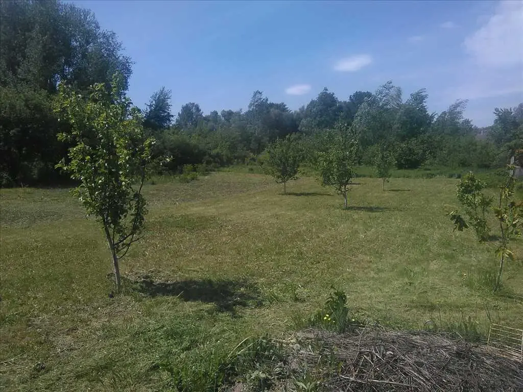 Ділянка — Петрівка