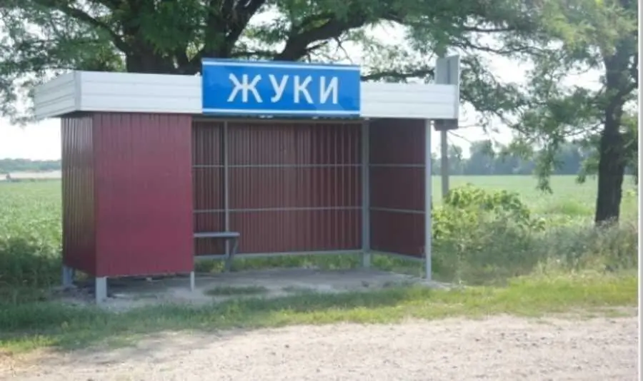 Ділянка — Жуки