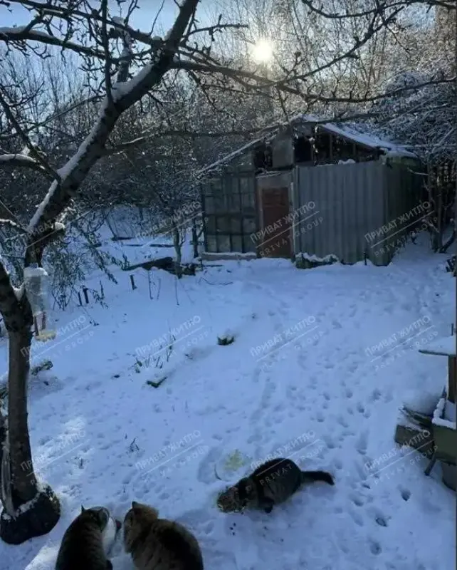 Земельна ділянка в самому сердці Полтави з комунікаціями*10 соток на яких стоїть будинок під знос*підїзд асвальт-щебінь*світ, вода, газ*декілька заїздів *можно забудувати ділянку під комерційні приміщення або під будинок вашої мріїТорг для реальних покупців!Телефонуйте,чекаю вас на перегляд