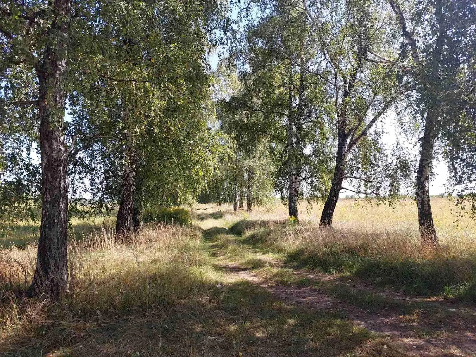 Ділянка — Тахтаулове