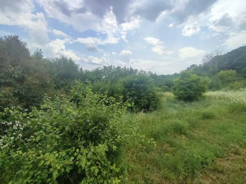 Ділянка — Гавронці