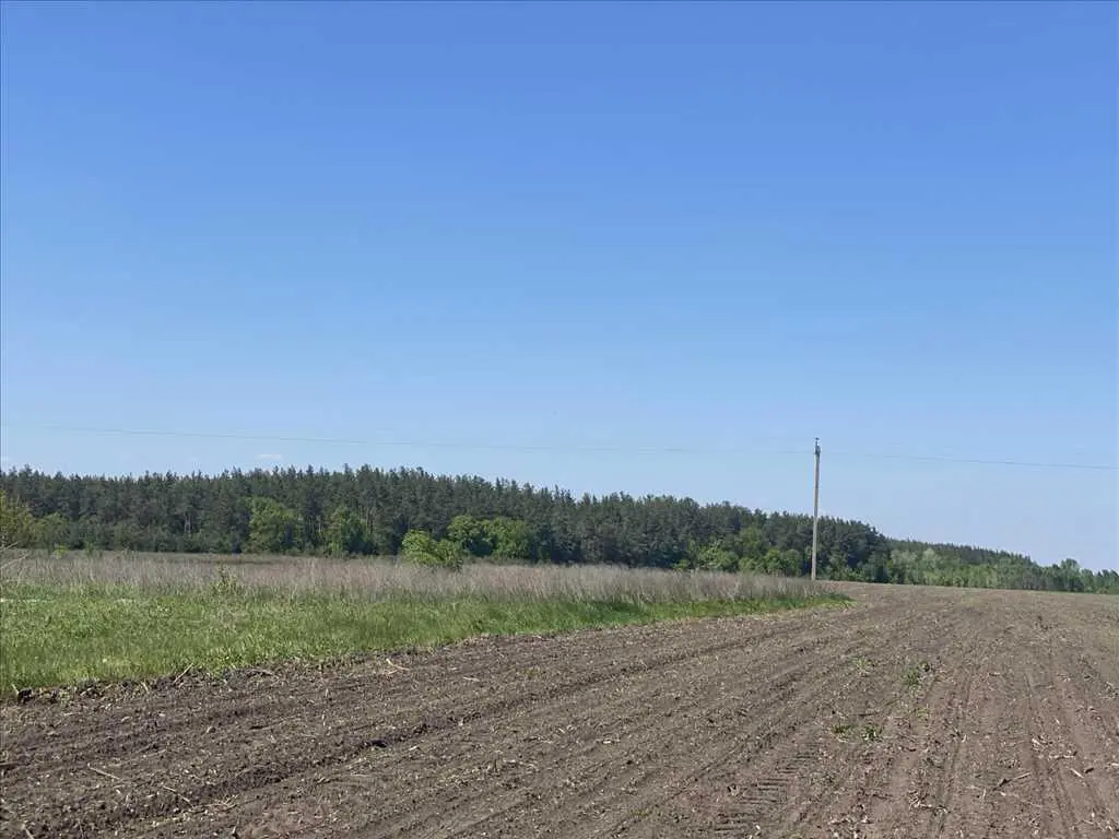 Ділянка — Микільське