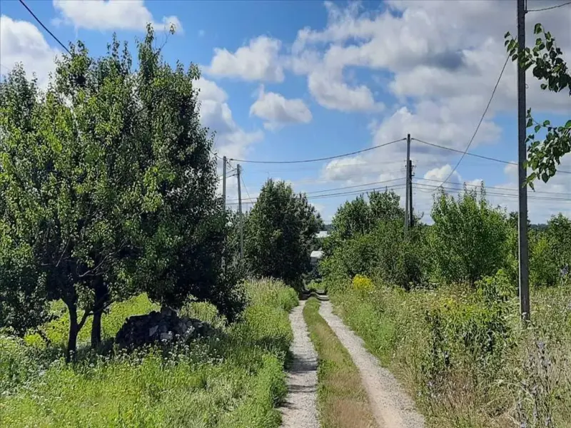 В продажі розкішна  земельна ділянка в Рибцях! - 15 соток. Призначення під забудову (25 на 60 метрів).-  Розташована у мальовничому, екологічно чистому куточку, серед пагорбів, ярів та озер. - Ідеально рівна, прямокутна, що дасть змогу втілити ваші мрії у життя з приводу побудови власної оселі.- Ділянка приватизована, документи свіжі, у наявності кадастровий номер.- Поряд житлові забудови, приємні привітні сусіди.- Нова електрична мережа на 50 кВт, новий трансформатор - Колодязь із водою-на ділянці, газ-200метрів.- Асфальтна дорога-300м, до самої ділянки-насипна.- До зупинки міського транспорту 10 хвилин.- Також у доступності школа, дитячий майданчик, магазини, відділення пошти-5-7хвилин їзди на транспорті.-  Поряд (300 м) озера, із зоною для відпочинку або риболовлі. Телефонуйте та домовляйтеся на показ!
