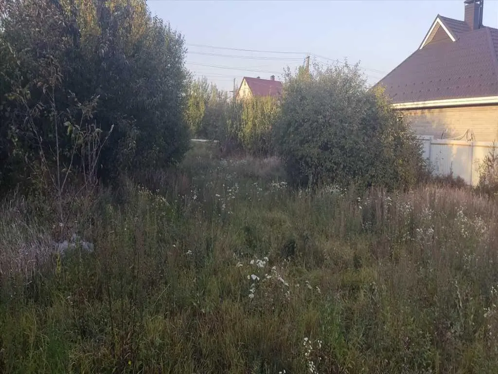 Ділянка — Жуки